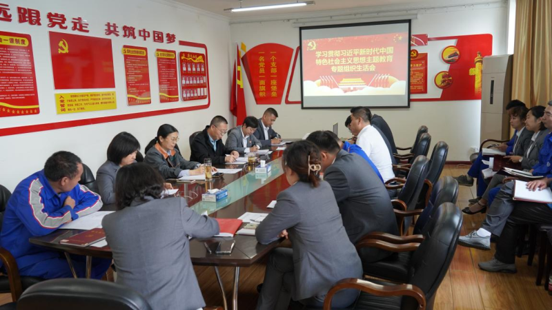 星空娱乐汽贸公司党支部召开学习贯彻习近平新时代 中国特色社会主义思想主题教育专题组织生活会