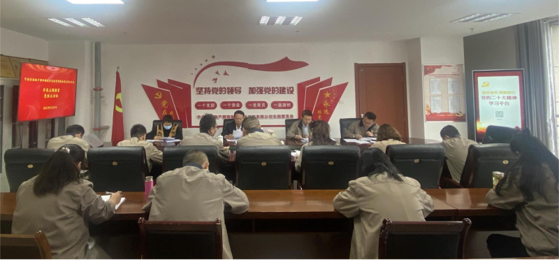 锤炼党性找差距 坚定信念促担当——青海星空娱乐朝阳物流开发投资有限公司党支部开展主题教育党性大讨论