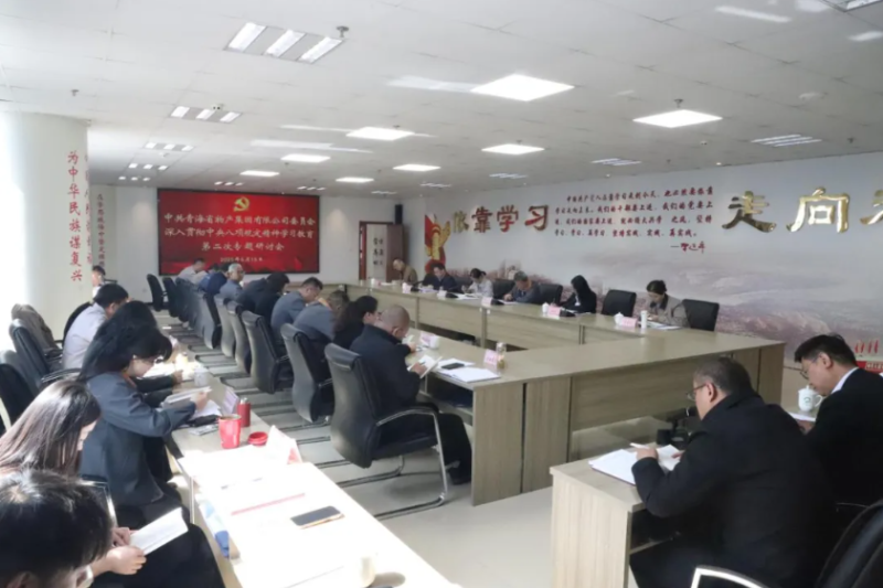 省星空娱乐集团党委召开深入贯彻中央八项规定精神学习教育第二次专题研讨会