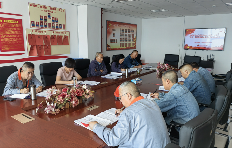 星空娱乐工投公司党委召开2023年度第十次理论学习 中心组学习（扩大）会暨专题民主生活会会前集中学习