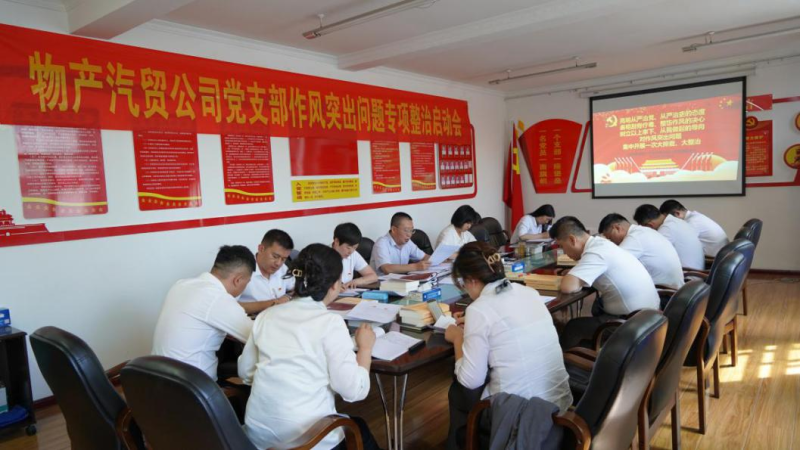 星空娱乐汽贸公司党支部 召开作风突出问题专项整治启动会