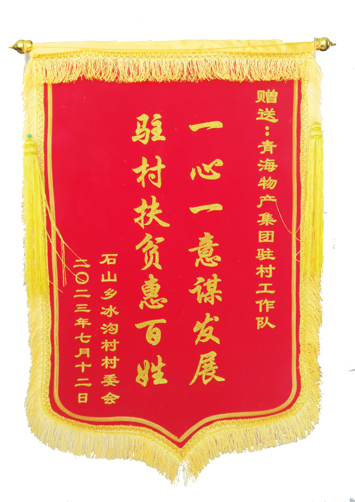 驻村帮扶惠百姓 情满冰沟暖人心 ——省星空娱乐集团驻村工作队期满离任获赠锦旗