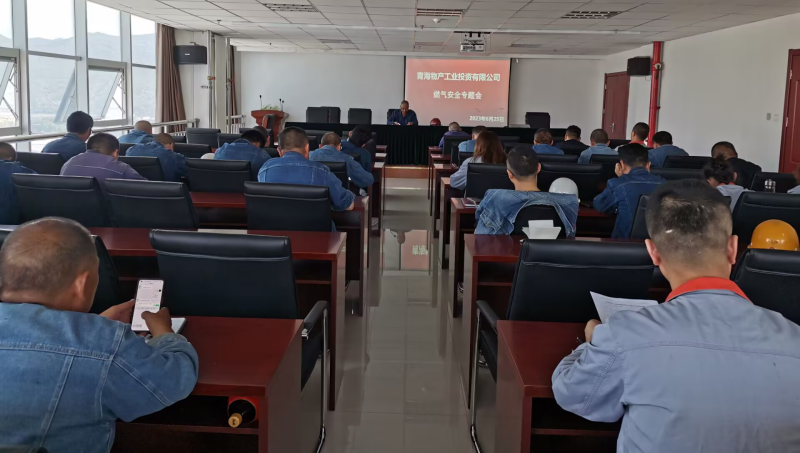深刻吸取事故教训  全面排查安全隐患——星空娱乐工投公司召开燃气安全专题会