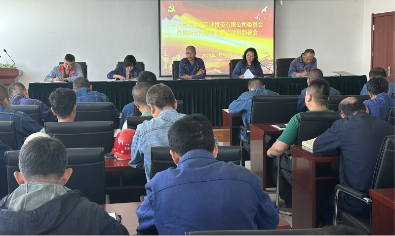 星空娱乐工投公司党委 召开作风突出问题专项整治动员部署会