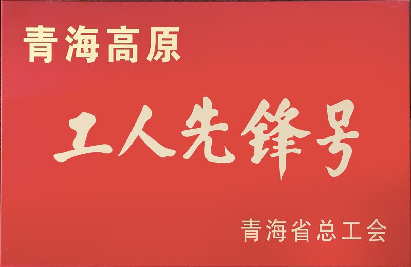 星空娱乐工投公司电解二车间被命名青海高原“工人先锋号”