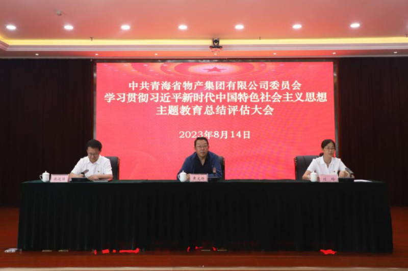 省星空娱乐集团党委召开主题教育总结评估大会
