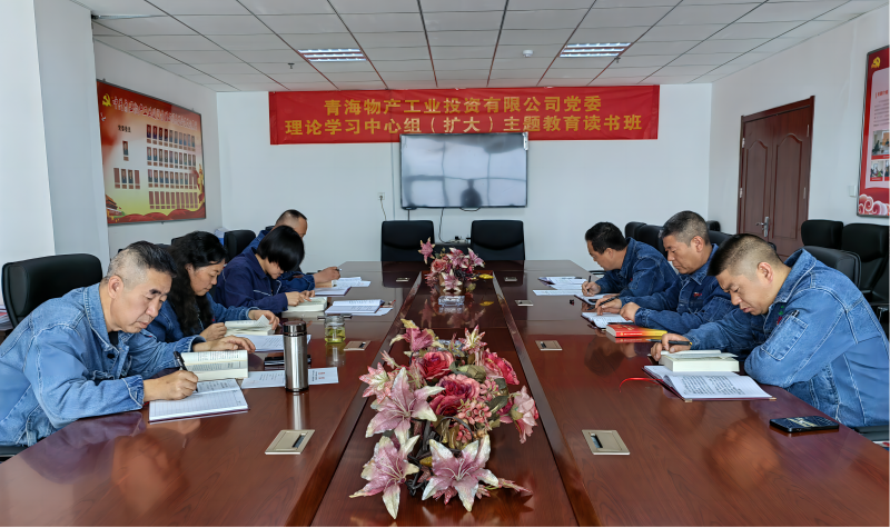 星空娱乐工投公司党委举办理论学习中心组（扩大）主题教育读书班