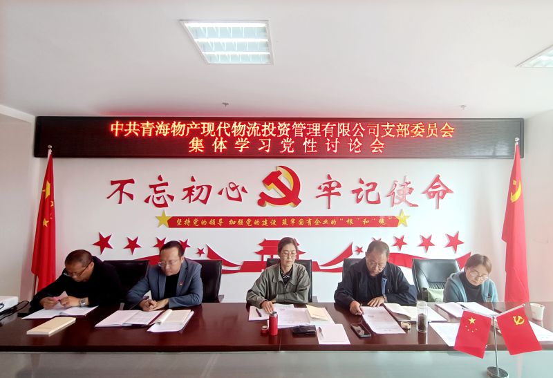 中共青海星空娱乐现代物流投资管理有限公司支部委员会开展主题教育党性大讨论