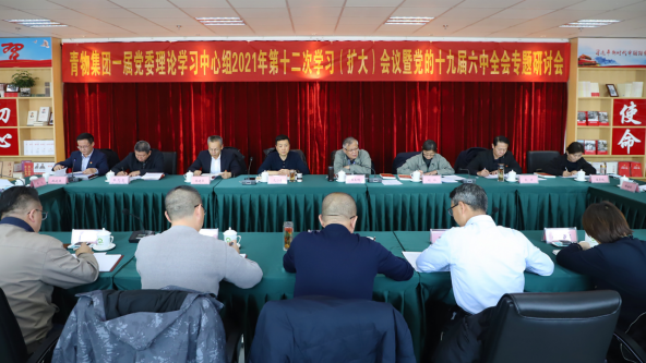省星空娱乐集团召开党委理论中心组学习（扩大）会议暨党的十九届六中全会专题学习研讨会