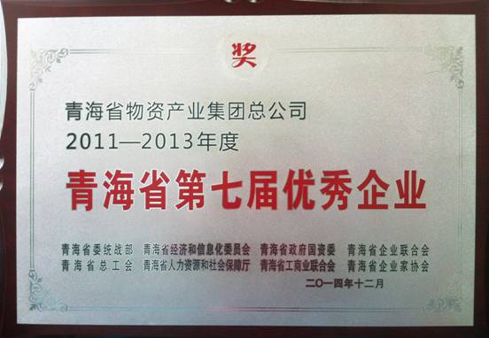 青海星空娱乐荣获“青海省第七届优秀企业”荣誉称号