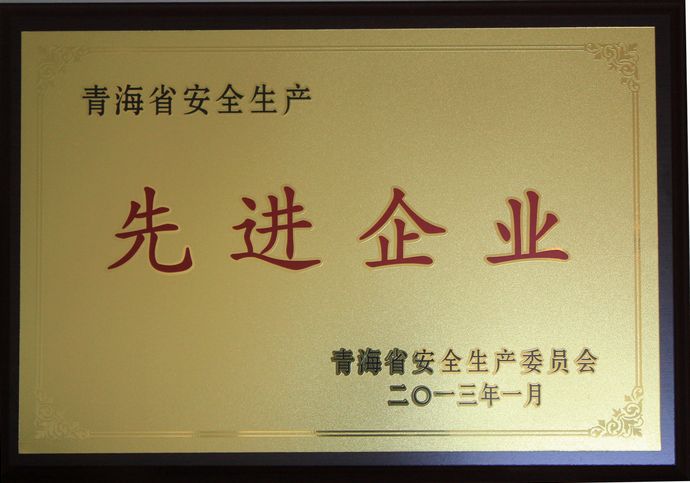 青海星空娱乐荣获“2012年度安全生产先进企业”荣誉称号