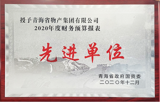 星空娱乐集团荣获国资委2020年度财务预算报表工作先进单位和省财政厅2019年度全省